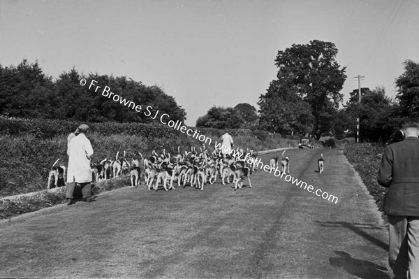 AT JIGGINSTOWN KENNELS